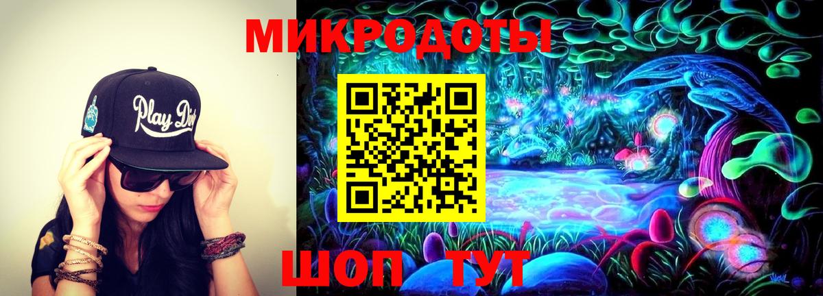 Псилоцибиновые грибы GOLDEN TEACHER  хочу наркоту  Галлюциногенные грибы GOLDEN TEACHER  Знаменск  Вход с VPN 
